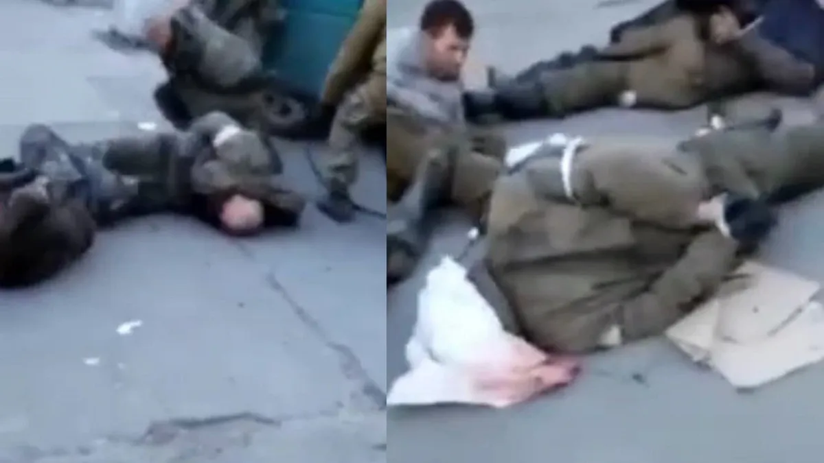 «Просят о пощаде»:  Шаманов объявил о захвате двух украинцев Величко и Немичеве, которые пытали российских пленных