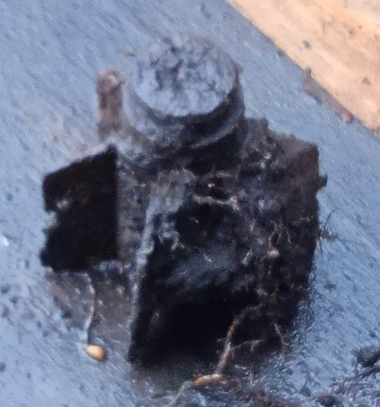Детали от мелкокалиберного миномета нашли возле СНТ «Колос» в Бердске. На место выехали сотрудники МЧС