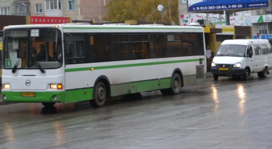 По улицам Бердска ходят около 30 муниципальных автобусов