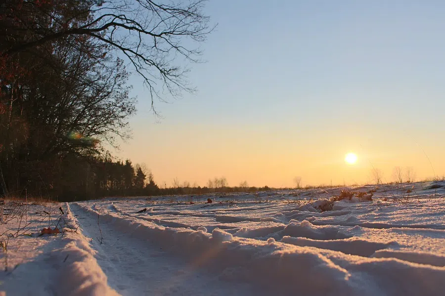 Погода в Бердске 1 декабря 2021: первый зимний день ожидается морозный и ясный