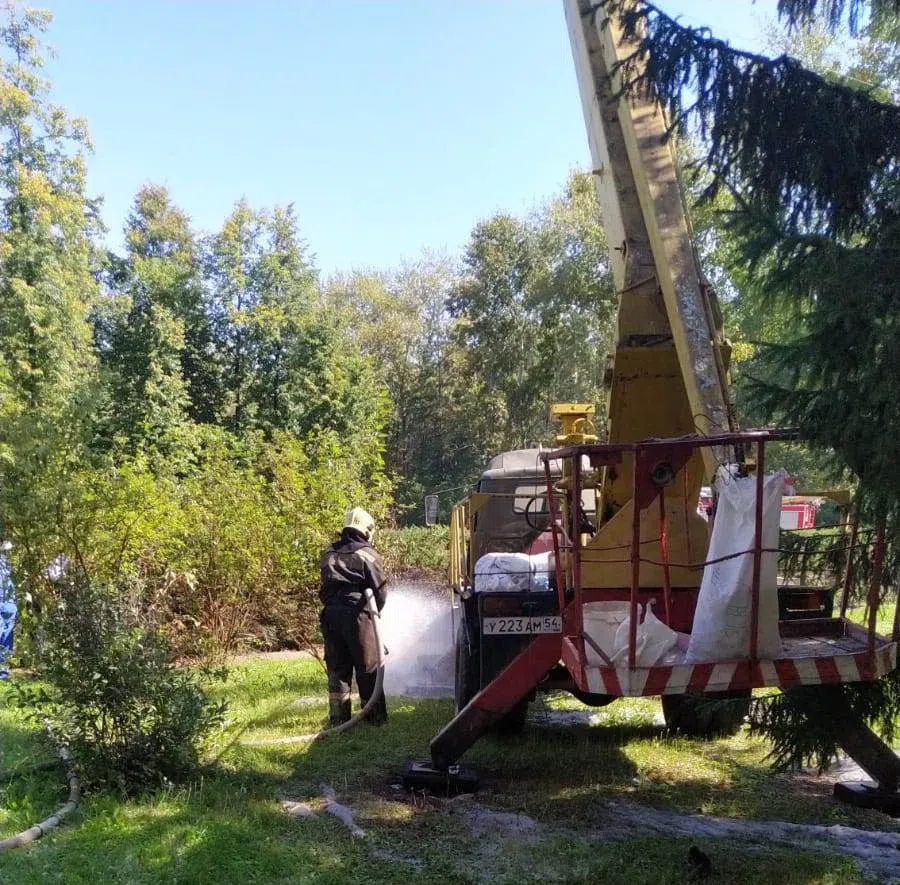 Смертельный удар током в лесхозе Бердска: СК не нашел состава преступления в гибели водителя и страшных ожогах двух 18-летних ребят при сборе шишек
