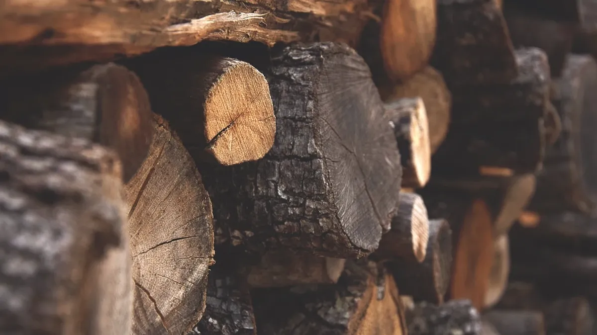 В Алтайском крае цены на дрова выросли почти в два раза