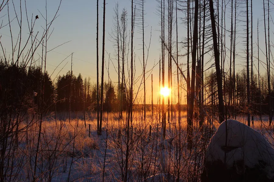 День зимнего солнцестояния – мощнейший энергетический день для приветственной молитвы Солнцу: текст и как правильно читать