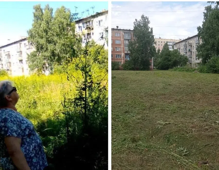 Борщевик и огромный сорняк высотой в три метра выкосили по поручению вице-мэра Владимира Захарова в Бердске
