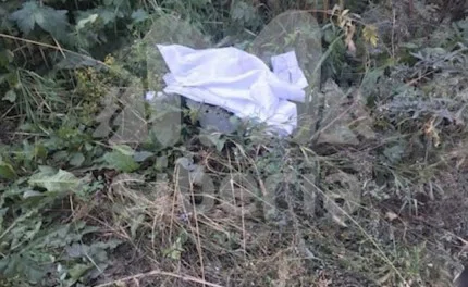 Белую детскую блузку нашли на месте пропажи двух школьниц