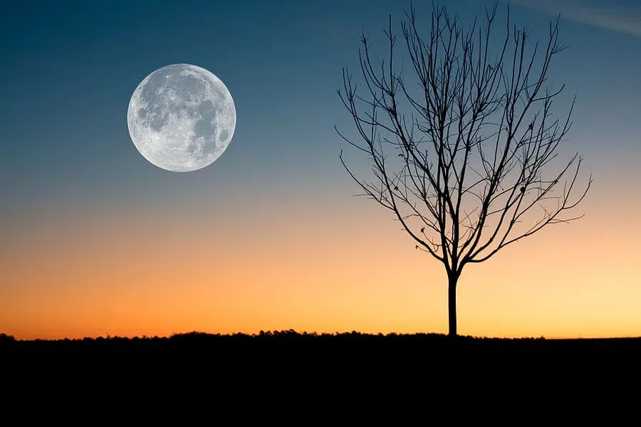  Лунный календарь поможет выбрать подходящий день, для старта нового дела. 