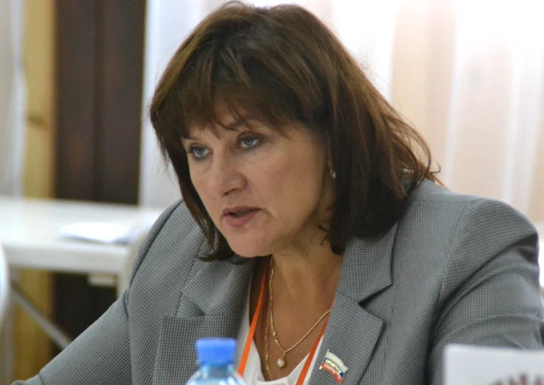 Депутат Бердска Елена Белова: бизнесмен куда более зависим, чем слесарь, или стоит ли бояться идти в депутаты обычным горожанам