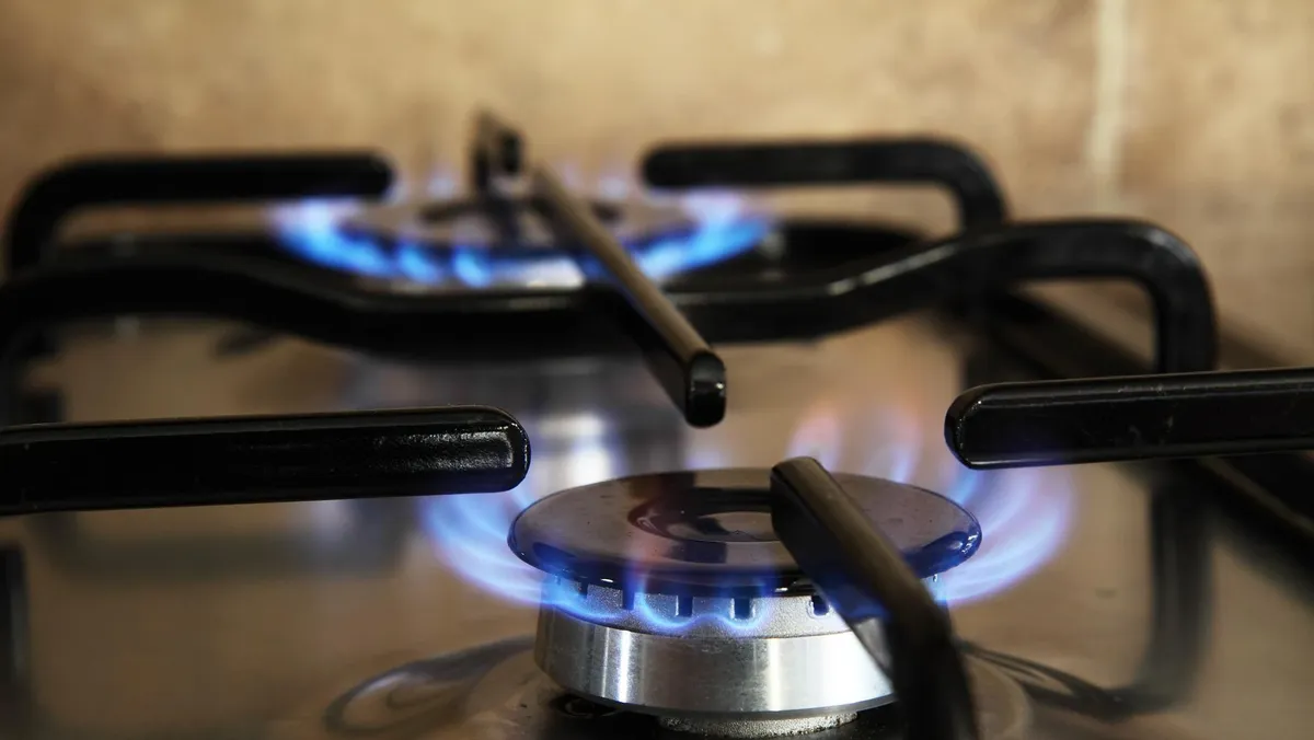 Заменить Российский газ в странах Европы будет проблематично. Фото: Pixabay.com