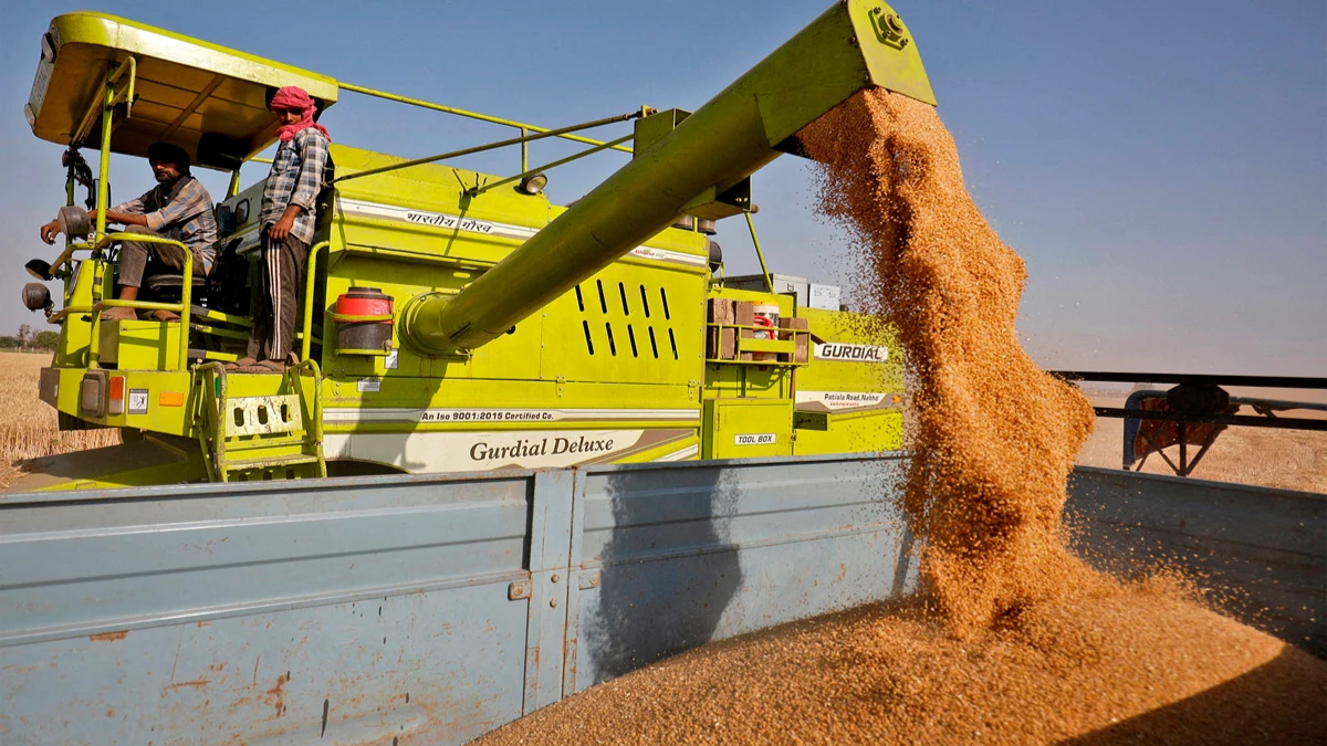 Индия вводит запрет на экспорт пшеницы из-за роста мировых цен