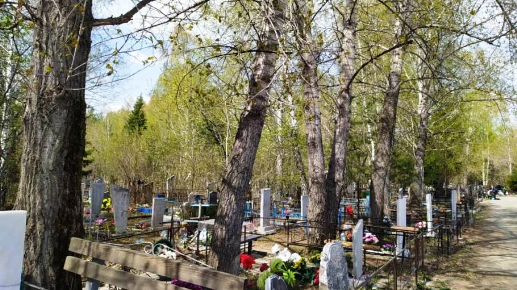 Накануне Радоницы в Бердске запустят дополнительные автобусы на кладбище. Они будут курсировать 30 апреля и 1 мая