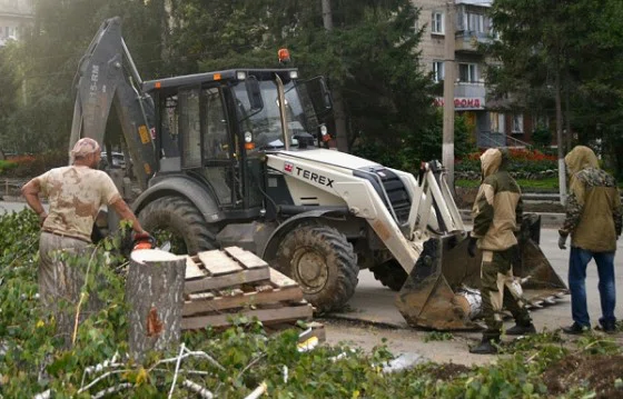 Сколько деревьев срубят на третьем этапе реконструкции улицы Ленина, пока неизвестно