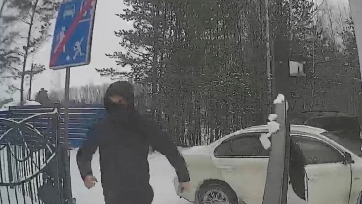 Новосибирские следователи ищут четверых вооруженных преступников, которые похитили мужчину возле дома в Заельцовском районе – инцидент попал на видео