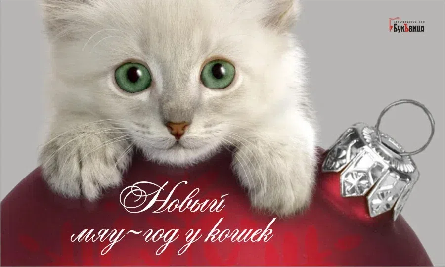Милейшие открытки в честь четвероногих любимцев в Новый мяу–год у кошек 2 января