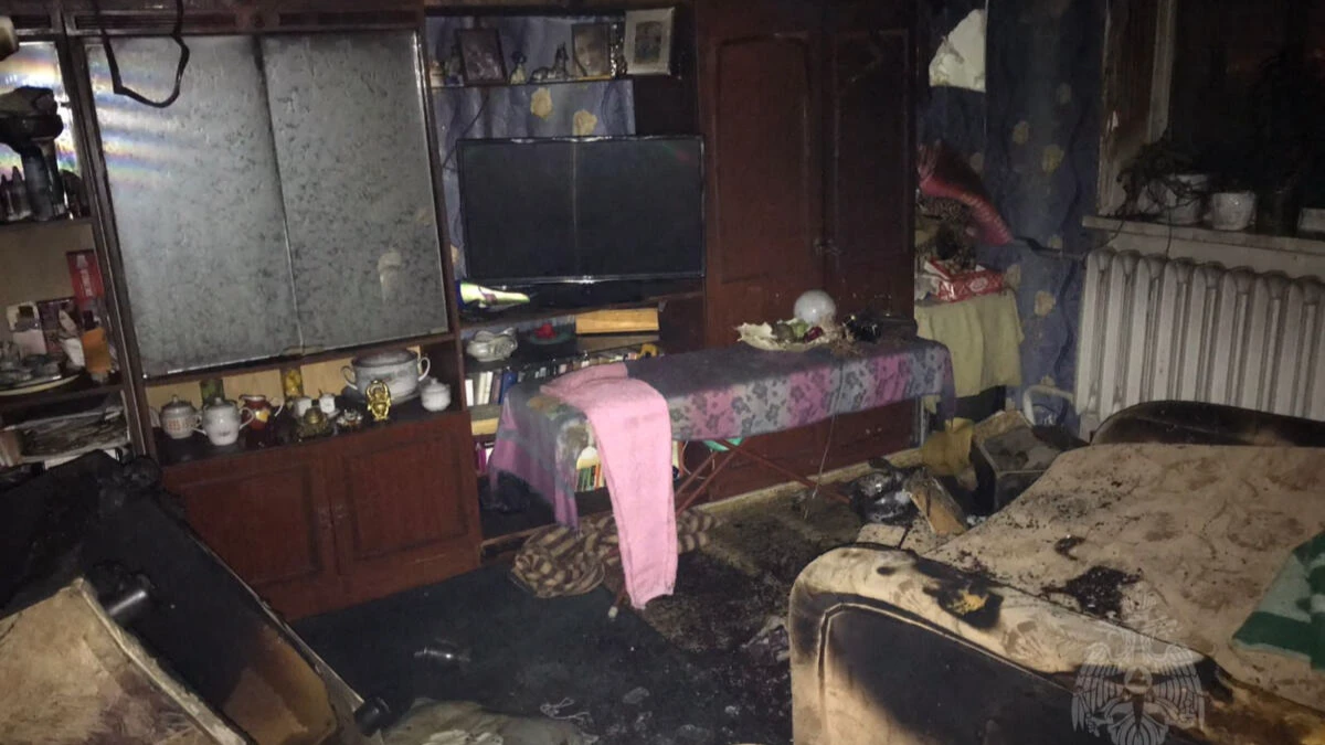 Наполовину обгорела пенсионерка при пожаре в Бердске, ее кот погиб