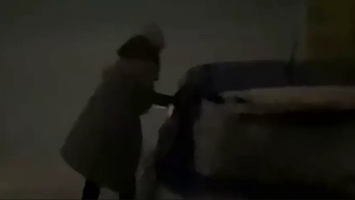 Снежный буран заблокировал 12 россиян прямо на республиканской трассе в Казахстане - видео