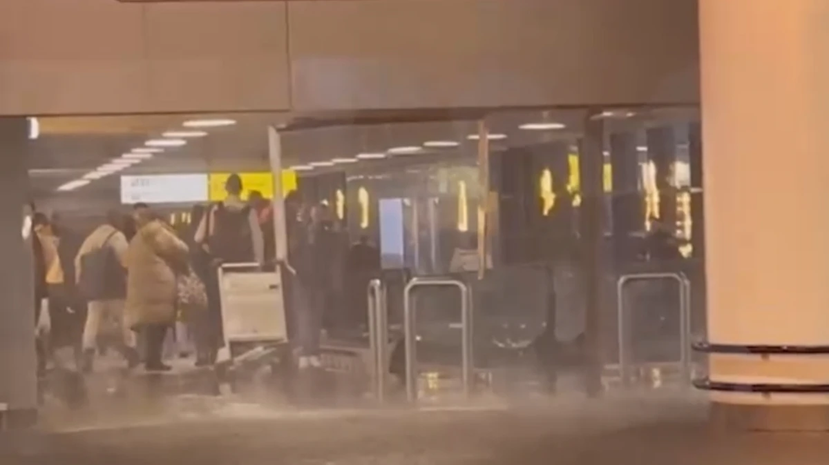 «Частично обвалился потолок» В московском аэропорту Шереметьево сработала пожарная сигнализация, что привело к потопу в здании – видео